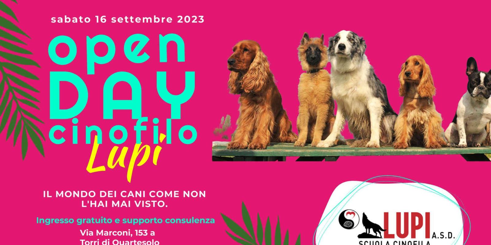 Open Day Cinofilo Lupi evento dedicato interamente ai nostri amici cani