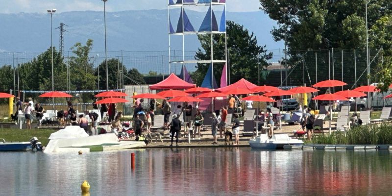 Qua la zampa evento cinofilo Spark