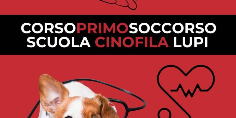Corso di Primo Intervento Veterinario. del cane