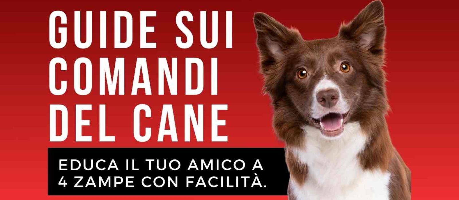guide ai comandi del cane