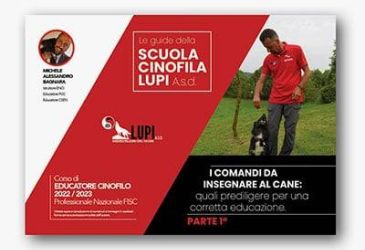 comandi da insegnare al cane guida 1
