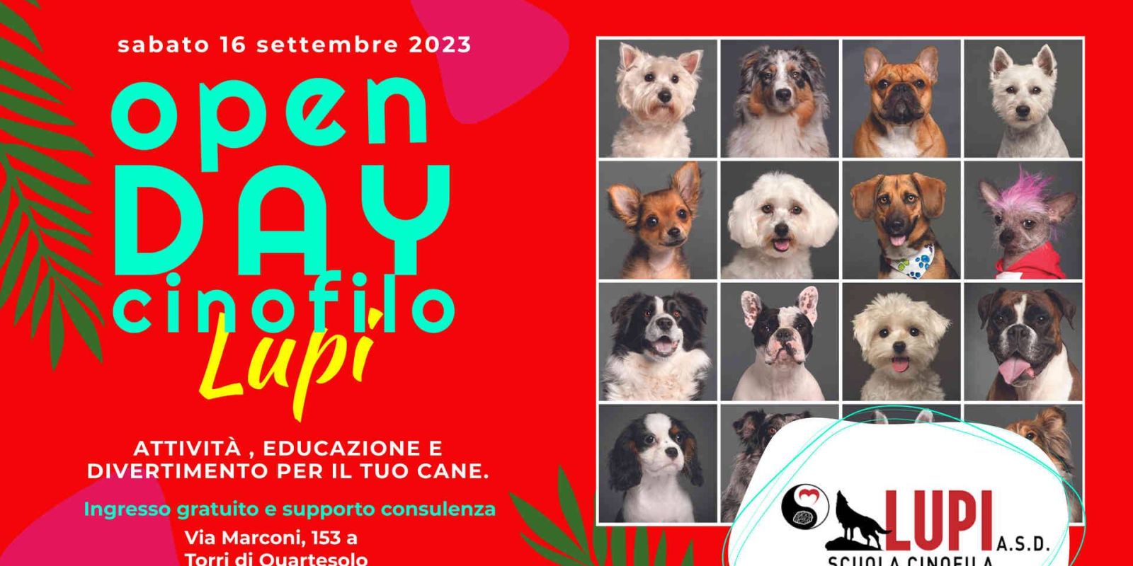 Open Day Cinofilo Lupi Dedicato a Tutti gli Amanti degli Animali.