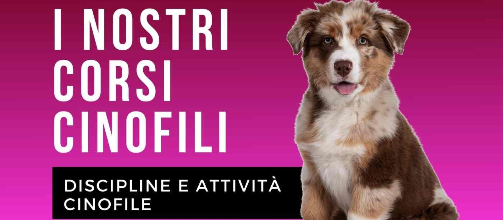 I nostri Corsi cinofili