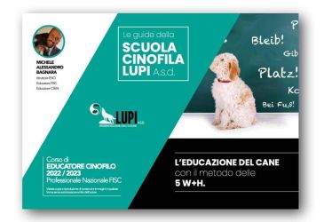 educazione cane metodo delle 5 w