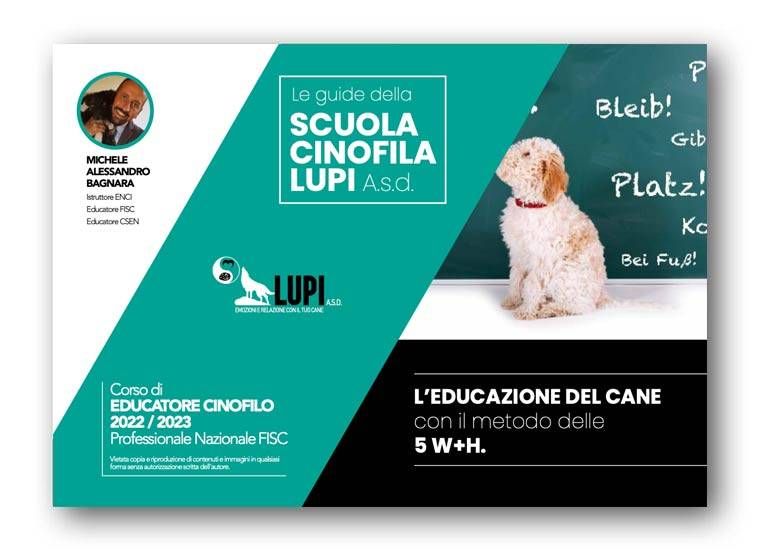 educazione cane metodo delle 5 w
