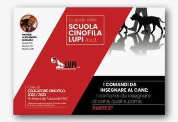 comandi da insegnare cane