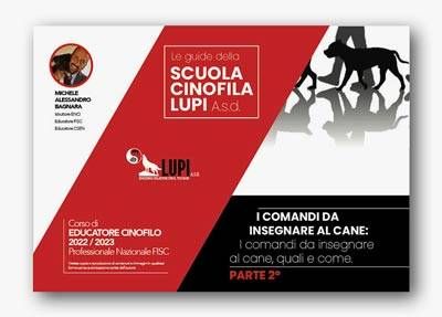 comandi da insegnare cane