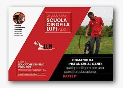 comandi da insegnare al cane guida 1