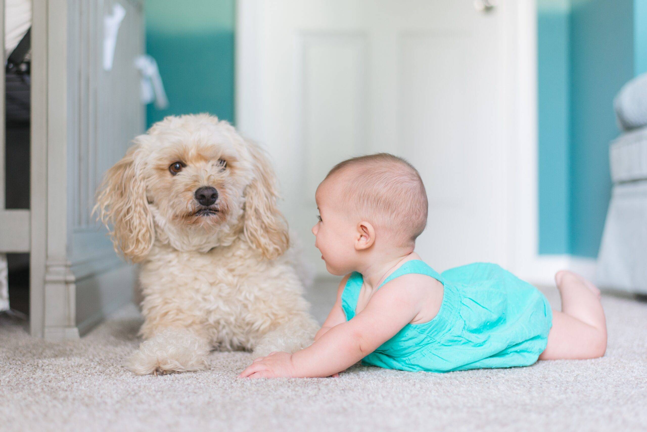 Il rapporto tra cani e bambini da 0 a 5 anni.
