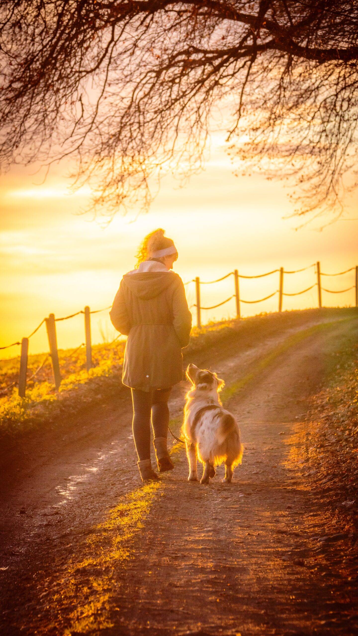 educatrice cinofila con cane in attenzione